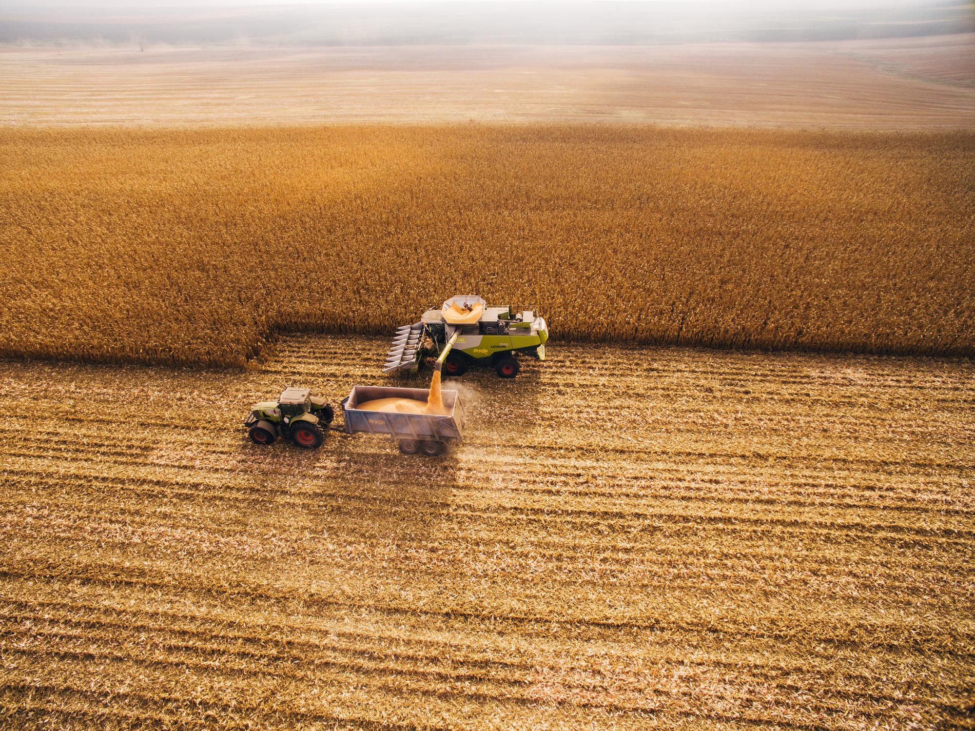 agro